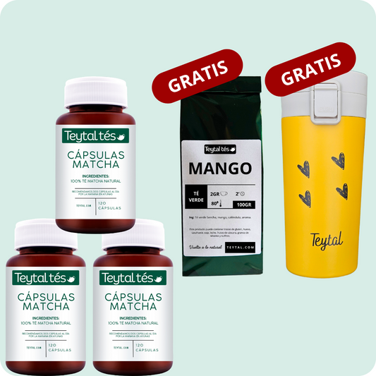 6 MESES 360 Cápsulas Matcha + Plan Dieta + 50 tazas Mango diurético + Termo