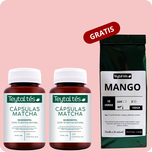 4 MESES 240 Cápsulas Matcha + Plan Dieta + 50 tazas  Mango diurético